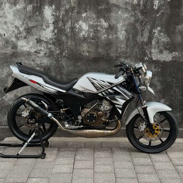 Ninja Ss 2010